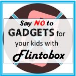 flintobox review subscription box