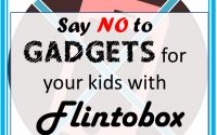 flintobox review subscription box