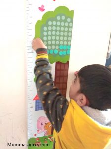 flintobox review subscription box