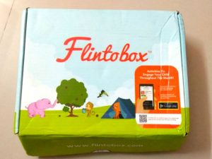 flintobox review subscription box